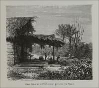 002856_IMAGEM_099.jpg.jpg