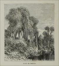 002856_IMAGEM_130.jpg.jpg