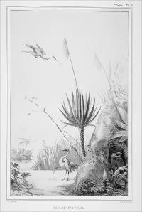 006245-1_IMAGEM_008.jpg.jpg